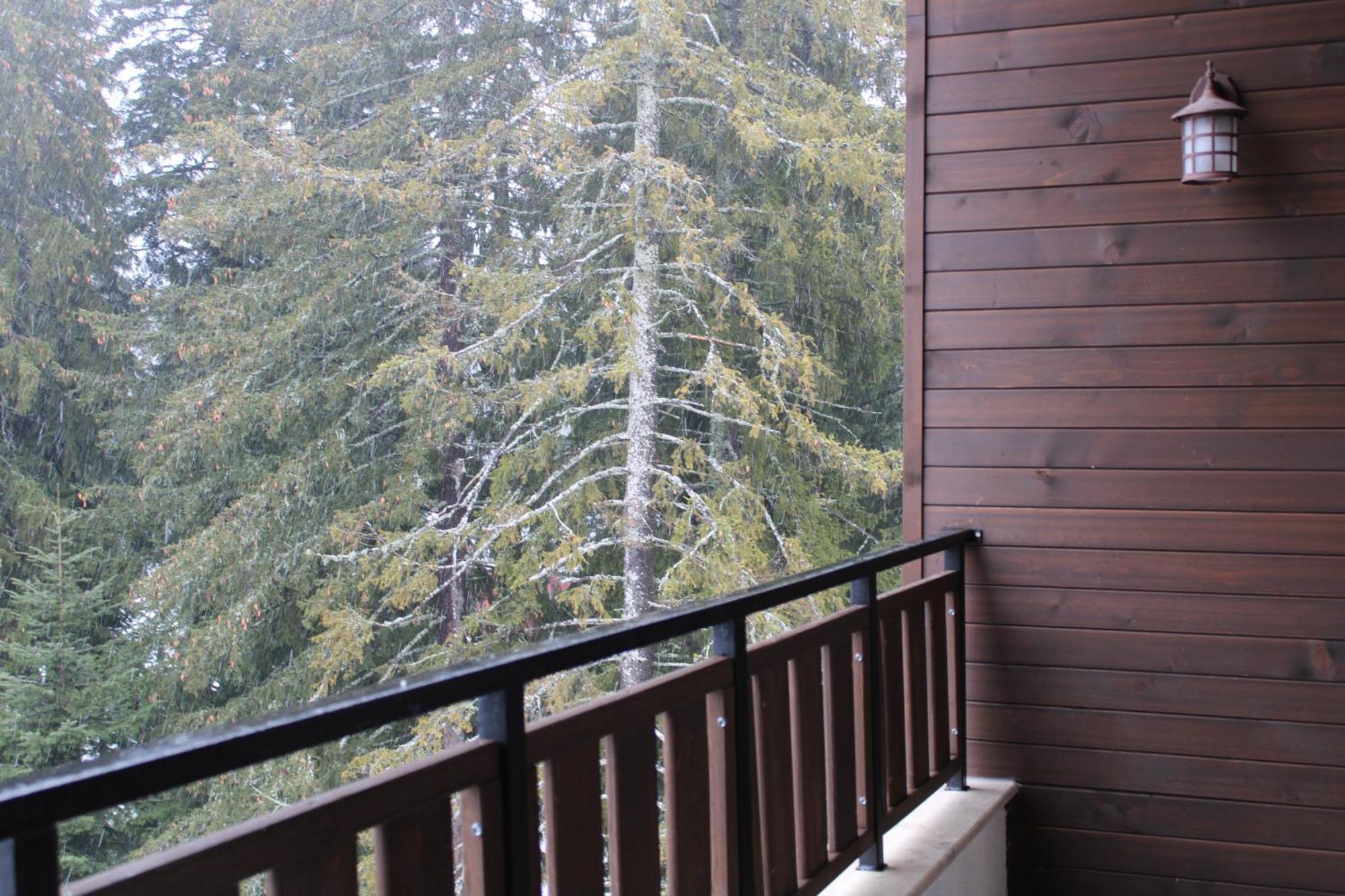 Mountain Studio Asp E63 Borovets Gardens Exterior foto