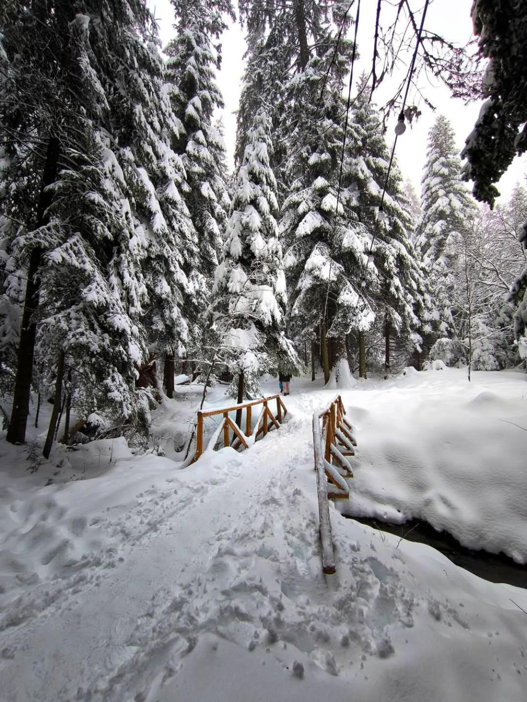 Mountain Studio Asp E63 Borovets Gardens Exterior foto